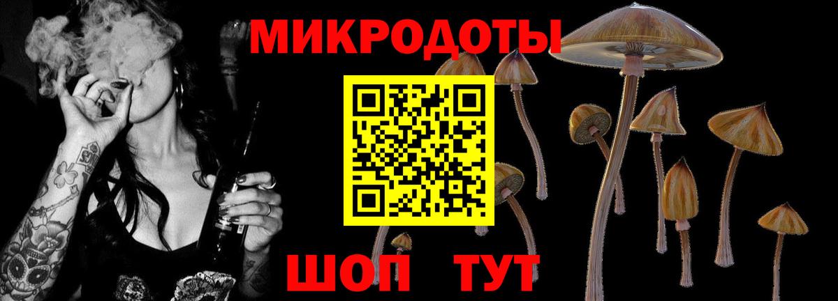 Соликамск  Псилоцибиновые грибы MAGIC MUSHROOMS  Вход с VPN 